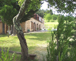 Nous vous accueillons dans une maison du 17ème siècle, sur un Domaine de 32 hectares, en plein coeur du Périgord noir,
à 15km des Eyzies, 25km de Périgueux, et 35km de Sarlat.
Une piscine est à votre disposition, nous nous situons sur une colline de la commune de Saint Cernin de Reilhac, à 5km
de Rouffignac, (commerces, banque, poste, service médical), célèbre pour sa grotte des 100 mamouths